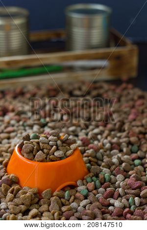 Orange plastic bowl filled with dry pet food surrounded by dry food for cat and dogs