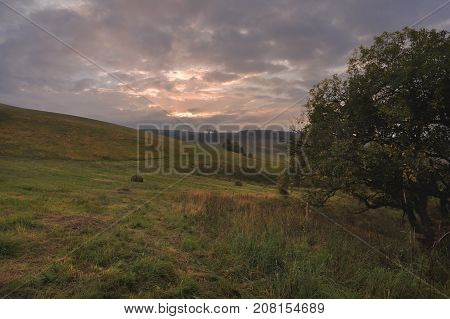 Summer landscape of the oblique fields of the Caucasus with cylindrical bales of hay at sunset and green beautiful trees. A classic rural landscape on a foggy morning or a cloudy evening. The concept of tranquility and peace outside the city