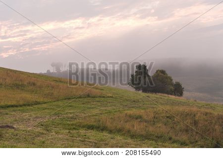 Summer landscape of the oblique fields of the Caucasus with cylindrical bales of hay at sunset and green beautiful trees. A classic rural landscape on a foggy morning or a cloudy evening. The concept of tranquility and peace outside the city