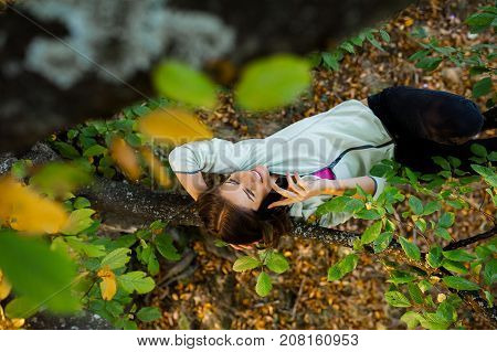 Young woman sitting in a tree, on a branch in the autumn seaston at sunset, talking on her smart phone, smiling and looking relaxed in nature