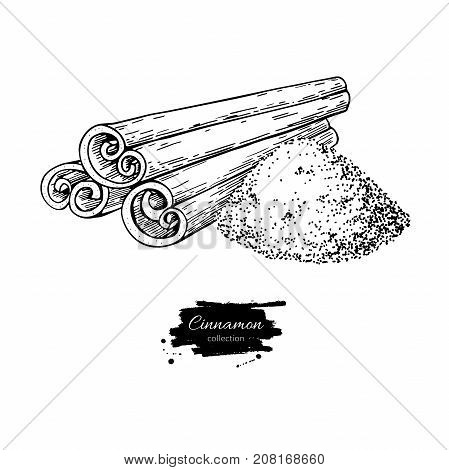 Cinnamon stick and powder vector drawing. Hand drawn sketch. Seasonal food illustration isolated on white. Engraved style spice and flavor object. Cooking and aromaterapy ingredient.