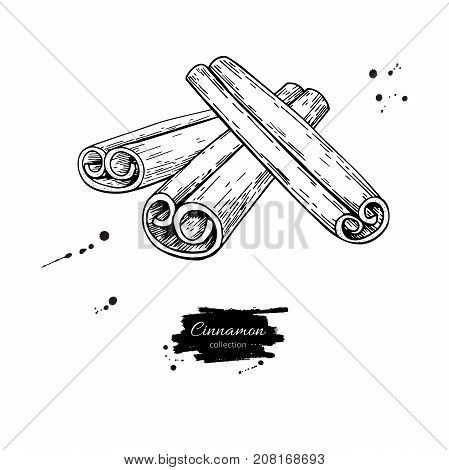 Cinnamon stick vector drawing. Hand drawn sketch. Seasonal food illustration isolated on white. Engraved style spice and flavor object. Cooking and aromaterapy ingredient.