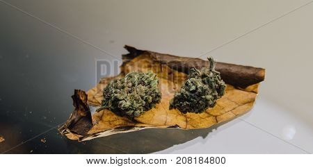 Weed Blunt Close-up..two Buds Of Marijuana Lying On A Cigarette Sheet