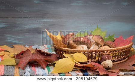 Mushrooms in the basket acorns and maple leaves over wooden background. Hand-made cotton mat. Autumn cep mushrooms.