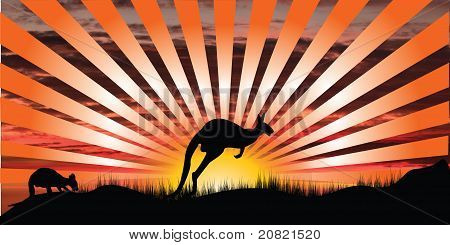 Kangaroo And Ray Sunset