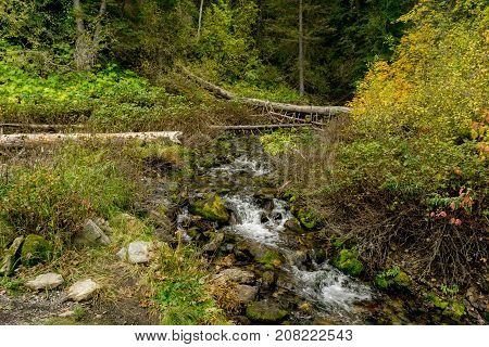 Mountain stream flows through the Utah mountains in Autumn