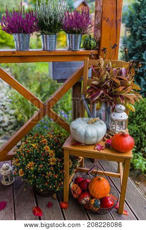 Pumpkins and autumn decorations on the wooden terrace.