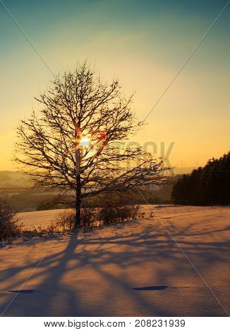 Snowy winter Christmas Landscape.Winter sunset over the snow-covered tree.