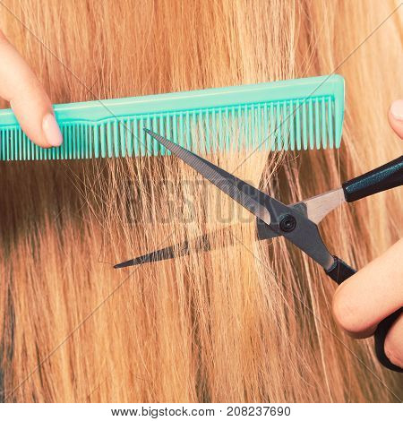 Cutting down and shearing concept. Blonde woman cuts and combing her straight smoothy fair hair. Professionalist making new coiffure hairdo.