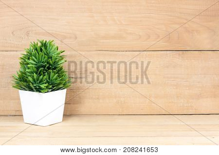 Small tree in white pot on wooden table. copy space. textured background