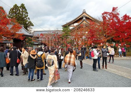 Autumn Tourists In Japan
