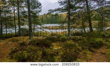 Lake Bruksdammen