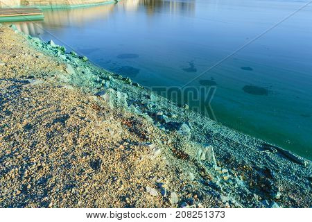 The Shore Of A Pond Infected With Cyanobacteria