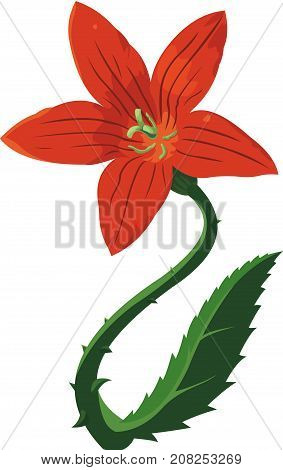 Vector art with beautiful red flower on white background