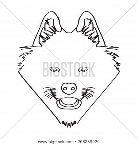 Isolated samoyed avatar on a white background, Dog breed vector illustration