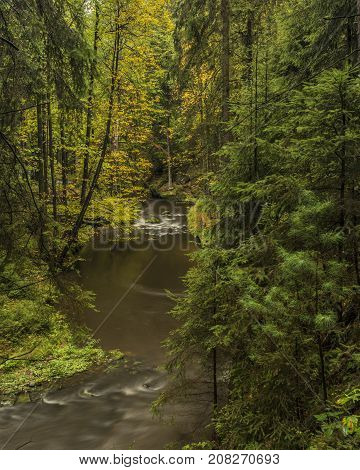 Chribska Kamenice River In National Park Ceske Svycarsko In Autumn Morning