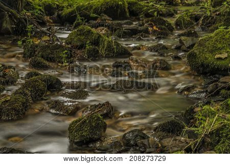 Usovicky Creek Near Marianske Lazne Spa Town In Autumn Day