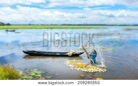Long An, Vietnam - September 24th, 2017: Farmers are cleaning lilies after harvest under swamps in flood season to bring the agricultural fair trade generate income for families in Long An, Vietnam