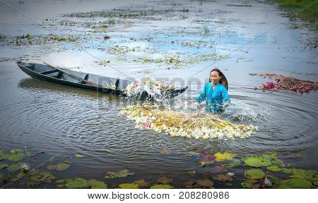 Long An, Vietnam - September 24th, 2017: Farmers are cleaning lilies after harvest under swamps in flood season to bring the agricultural fair trade generate income for families in Long An, Vietnam