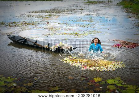 Long An, Vietnam - September 24th, 2017: Farmers are cleaning lilies after harvest under swamps in flood season to bring the agricultural fair trade generate income for families in Long An, Vietnam
