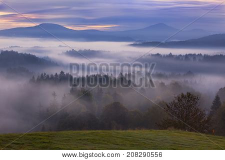 foggy dawn over the national park Bohemian Switzerland, Rynartice, Czech Republic
