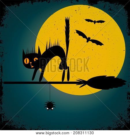 Happy Halloween background, cat on a broom, bats and spider. Vector illustration.