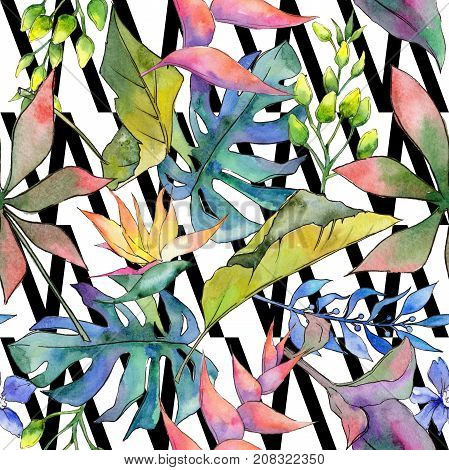 Tropical Hawaii leaves pattern in a watercolor style. Aquarelle wild flower for background, texture, wrapper pattern, frame or border.