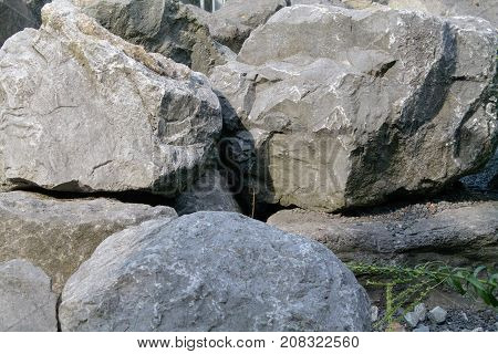 Gray-brown stone with weathering and cracks under sunlight