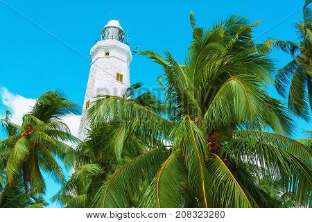 White lighthouse Dondra Head and tropical palms Sri Lanka near Matara.