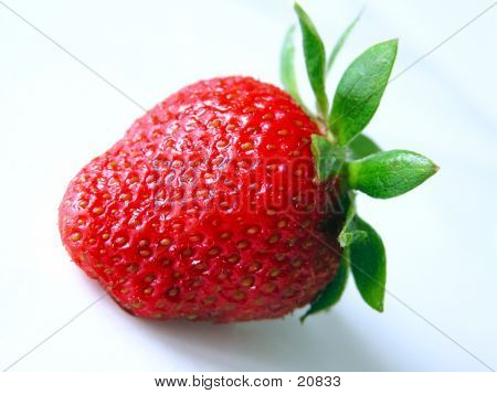 Fragola