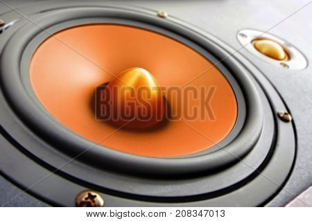 Hifi gold and black loud speaker box in close up.Professional audio equipment for dj, musician, party. High quality sound recording studio equip.Focus on hi-fi diffuser bullet in wood cabinet box.