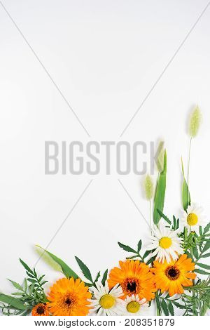 An image of composition made of flowers