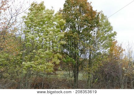 Autumn Natural Landscape Of Prokopske Udoli In Prague