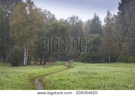 Narrow path on green field to autumn forest in early fall season