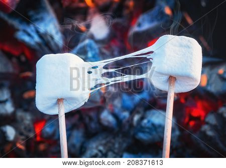Two stretchy marshmallows roasting over fire flames. Marshmallow on skewers roasted on charcoals.