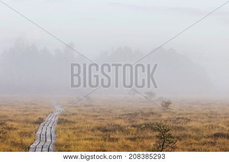 The sun Latvia.Dunikas swamp and mist rises