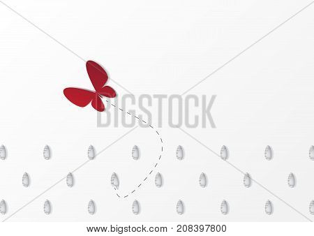 Group Chrysalis Butterfly with one transformation of Butterfly success idea on white background Minimal concept idea flat lay top