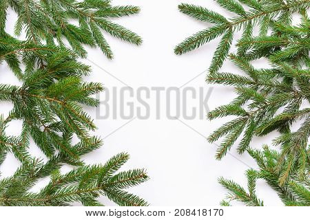 spruce branches on a white background. isolate. for New Year's collage
