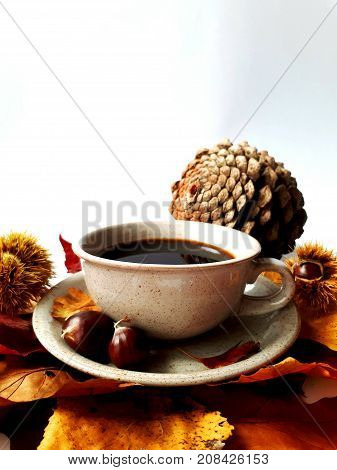 Cup of coffee on autumn dead leaves with chestnuts, burrs, and pine cone on white background