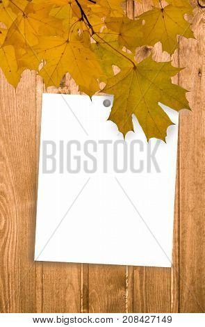 Sticky note against autumn leaves on wood