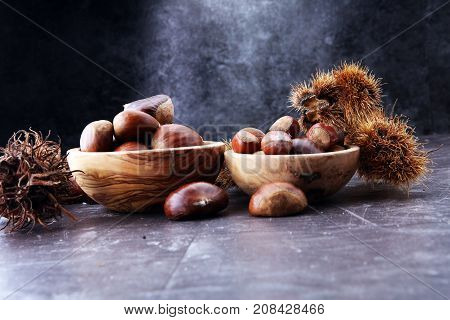 Ripe chestnuts and hazelnus on grey background. Raw Chestnuts for Christmas