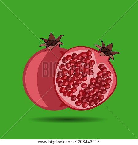 Pomegranate illustration. Garnet icon. pomegranate,  garnet,  icon,  logo,  flat,  freshness