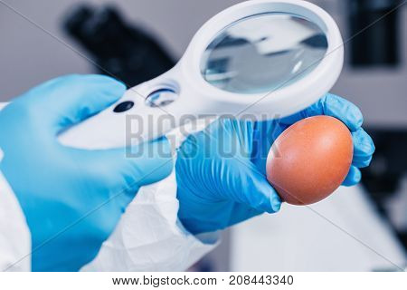 Food Safety, Woman Examining Egg In The Lab, Toned Image