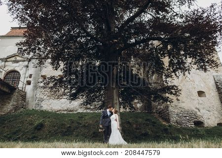 Beautiful Gorgeous Bride And Groom Walking In Sunny Park And Kissing. Happy Wedding Couple Hugging I
