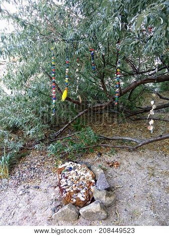Composition of seashells and branches on the beach