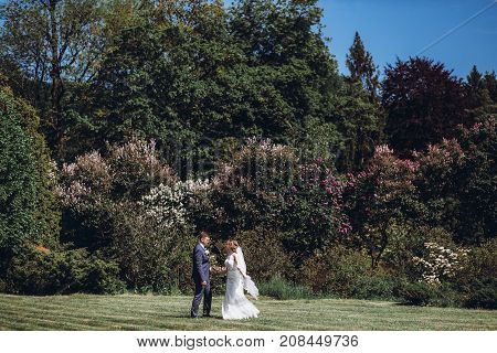 Beautiful Gorgeous Bride And Groom Posing In Sunny Spring Park Among Green Leaves Blooming. Happy We