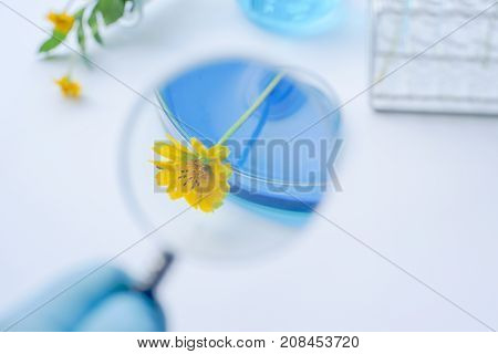 Flower with laboratory glassware with bluel liquids for chemical experimental in laboratory analysis research science background