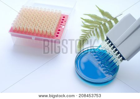Scientist working with multichannel pipette. Experimental labboratory. Analysing Qualitative Research