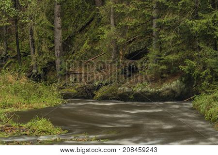 Chribska Kamenice River In National Park Ceske Svycarsko In Autumn Morning