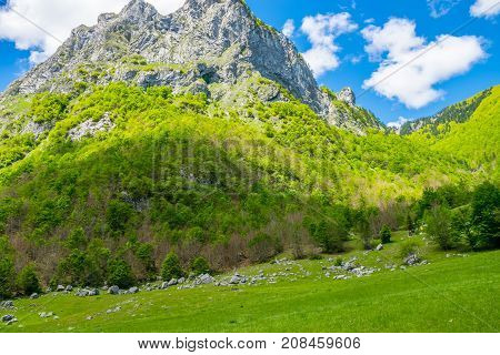 Picturesque Meadows And Forests Are Located Among The High Mountains.